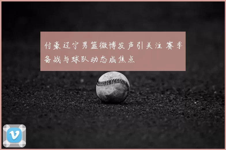 付豪辽宁男篮微博发声引关注 赛季备战与球队动态成焦点