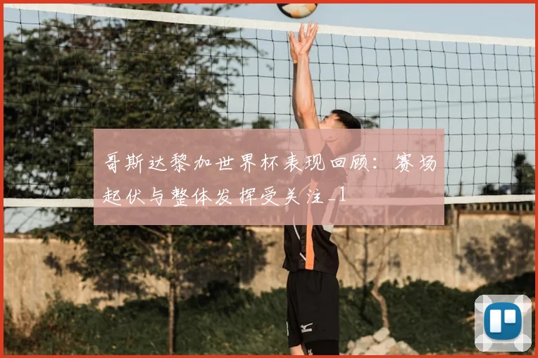 哥斯达黎加世界杯表现回顾：赛场起伏与整体发挥受关注_1